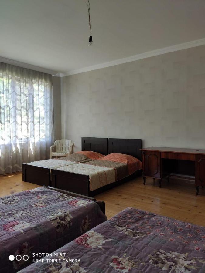 Family House In Racha, Oniアパートメント エクステリア 写真