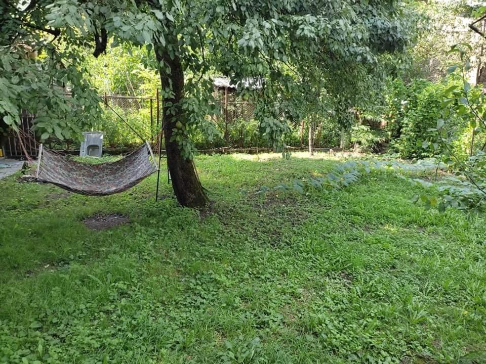 Family House In Racha, Oniアパートメント エクステリア 写真